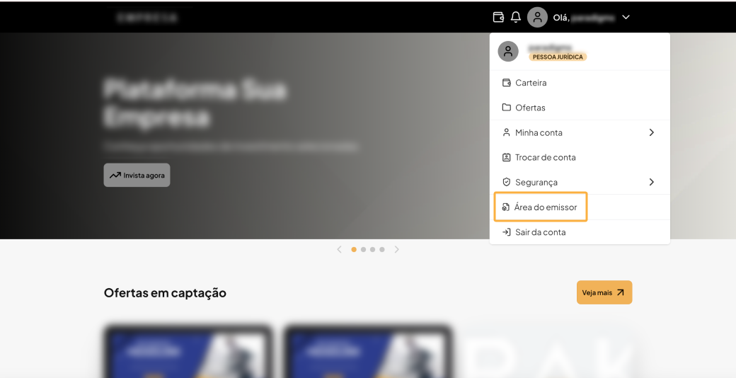 Divify Manuais Preenchimento Das Informacoes De Emissor 3