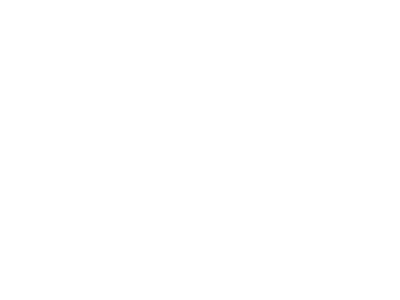 UBT Capital
